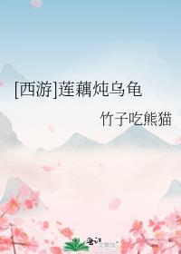 藕炖乌鸡