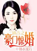 独占之豪门惊婚by锦衣夜行