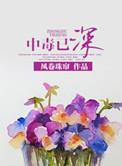 百看不厌