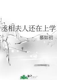 丞相夫人还在上学晋江文学