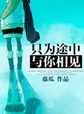 只为途中与你相见简介