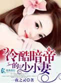 暗夜豪宠冷少诱拐小甜妻