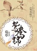 鸳鸯免费阅读