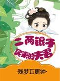 二两银子的购买力