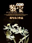 重生之鉴宝专家