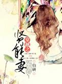 穿越之贤能妻军嫂