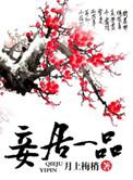 妻居一品番外