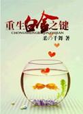 重生之白金之键