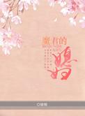 魔君的辣妹媳妇