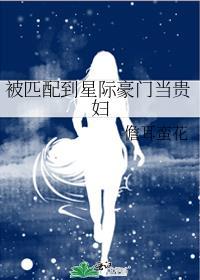 被匹配到星际豪门当贵妇免费阅读