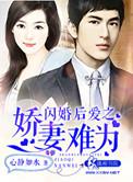 闪婚后爱总裁娇妻惹不起