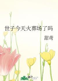 世子今天火葬场了吗TXT