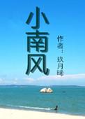 小南风简介