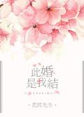此婚了了全文免费阅读