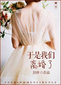我们离婚了!