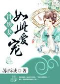 冒牌娇妻第十三集