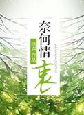 奈何情衷完整版