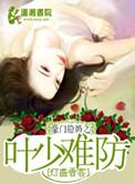 豪门隐婚之叶少难防完结了没有