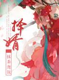 择婿电视剧