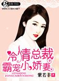冷情总裁霸宠小娇妻全文
