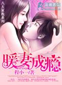 暖妻成瘾免费阅读