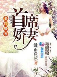 名门暖婚宠妻成瘾