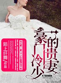 豪门冷少宠妻无度