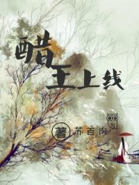 醋王上线十一