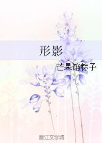 形影芒果馅粽子全文免费