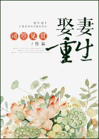 娶妻重生摄政王追妻路漫漫