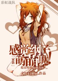 家教纲吉的镜中生活