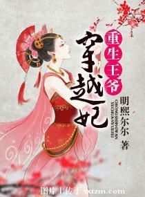 王爷重生王妃穿越