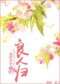 良人归免费阅读