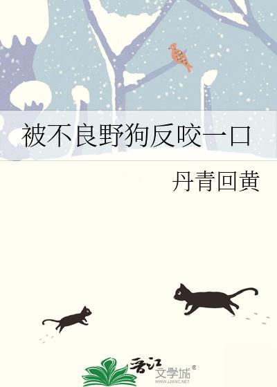 野狗咬了