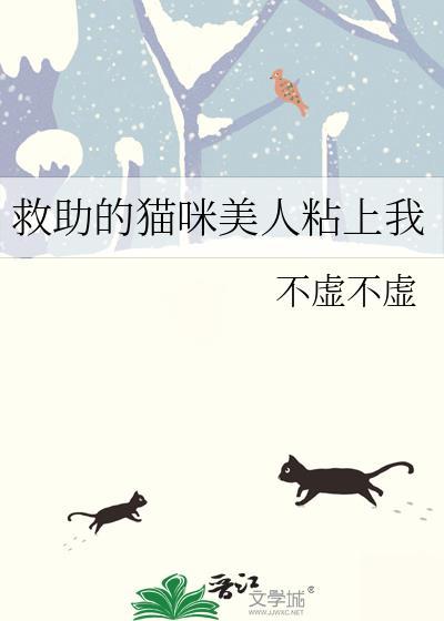 美国猫救主人视频
