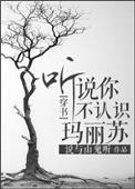 听说你不认识玛丽苏无防盗