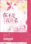 你不是我的菜歌词