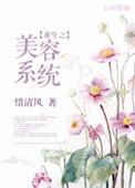 美容系统