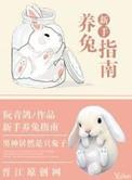 新手怎么养兔