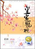 皇家宠媳作者彩田