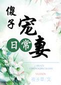 傻子受宠