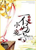 小妾不乖