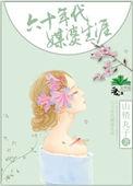 六十年代媒婆生涯讲什么