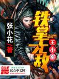 铁掌无敌王小军实力