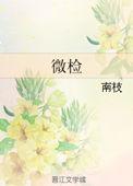 微检南枝txt百度