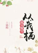 凰兮从我栖红袖阅读