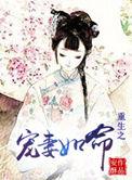 重生之宠妻如命 作者安酥