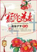 宠你为妻完整版阅读