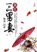 重生一品夫人