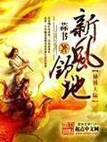 新风领地这书怎么样